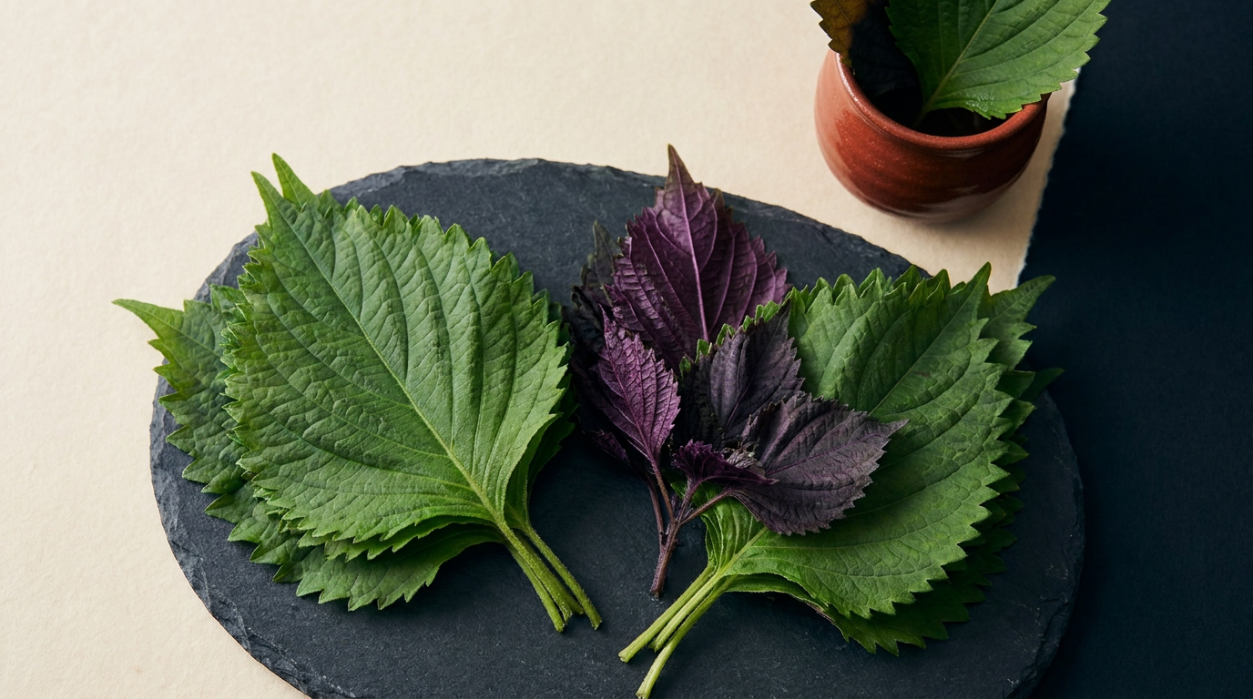 Perilla, Shiso, and the Persistent Myth of the Sesame Leaf